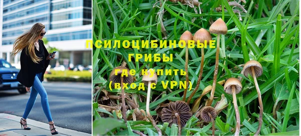 мескалин Новокубанск